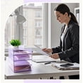 4 Tier Paper Organizer Letter Tray Pink Acrylic Desk File Organizer ...