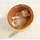 thumbnail image 5 of Pet House Cat Bed Sandwich Honey Jar Shape Deep Sleepping Dog Tent Cozy Cave Nest Indoor Cushion Cama Gato Fast Shipping CW96 ShopWise Round, 5 of 6