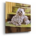 thumbnail image 2 of Epic Art 'Maltese' by Barbara Keith, Acrylic Glass Wall Art, 12"x12", 2 of 8