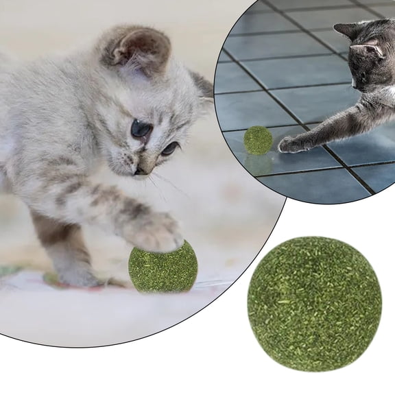 Durable Silicone Cat Toy Ball for Chew & Teeth Cleaning – Portable Lick Toy for Kittens & Cats (3.2cm, 1.26”)