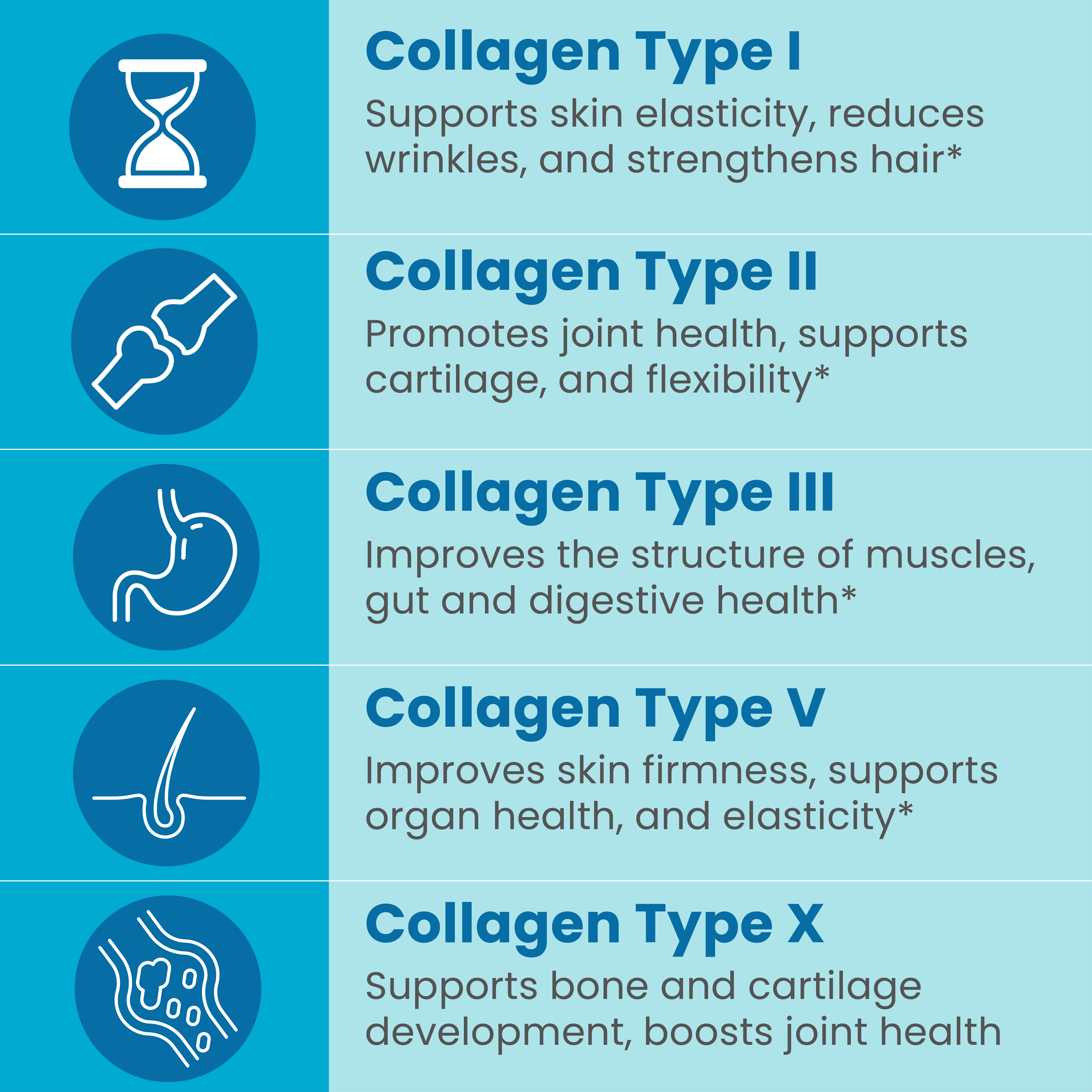 Sanar Naturals Collagen Multi Complex, Type I, II, III, V, X, for Hair, Skin, Nails, Joint & Bone Support, 120 Capsules