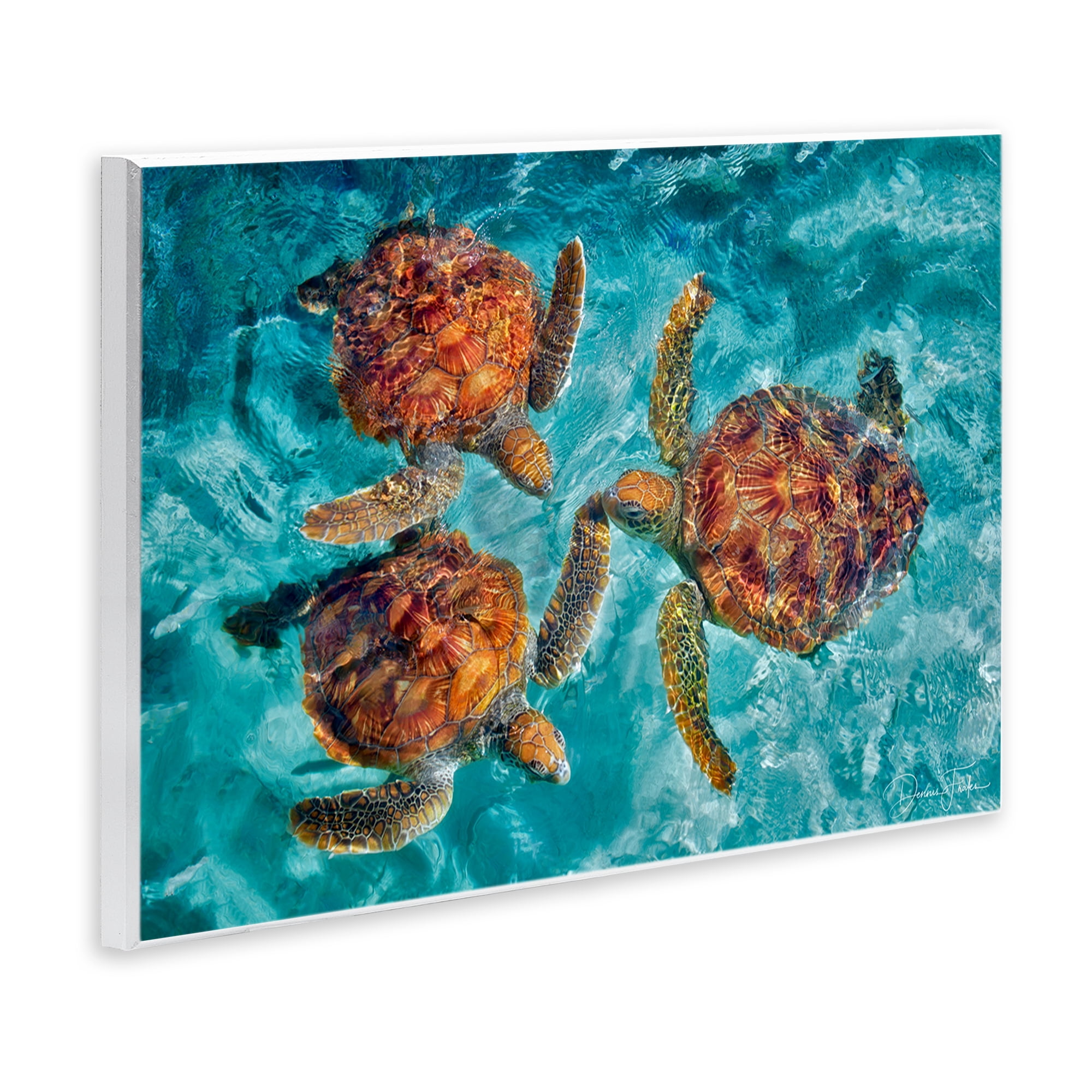 Stupell Industries Swimming Tortoise Trio Animals & Insects Painting Unframed Art Print Wall Art, 19 x 13