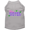 thumbnail image 1 of Big Sister Screen Print Dog Shirt Grey Lg, 1 of 1