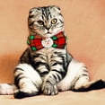 thumbnail image 3 of Collier Nœud Papillon pour Chat de Fête Festive avec Motif Imprimé, Bande Tissée Douce Texturée pour, 3 of 4