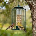 thumbnail image 5 of Djiypn Squirrel Proof Bird Feeders for Outdoors Hanging (Metal Green) Bird Feeder with 4 Ports, Chew-Proof & Weather Resistant, Backyard Gift (12.6 x 7.1 x 7.1 inches), 5 of 10