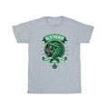 thumbnail image 1 of Harry Potter Mens Slytherin Toon Crest T-Shirt, 1 of 3