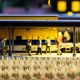 thumbnail image 3 of 1 caja de matas de césped estático para modelismo ferroviario en miniatura, matas de césped artificial, terreno para juegos en miniatura, 3 of 6