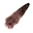 thumbnail image 1 of Here's a refined and professional product description based on your input:\n\n \n\n**1 Piece Gradient Color Long Ponytail Wig for Women – Natural Hair, 1 of 3