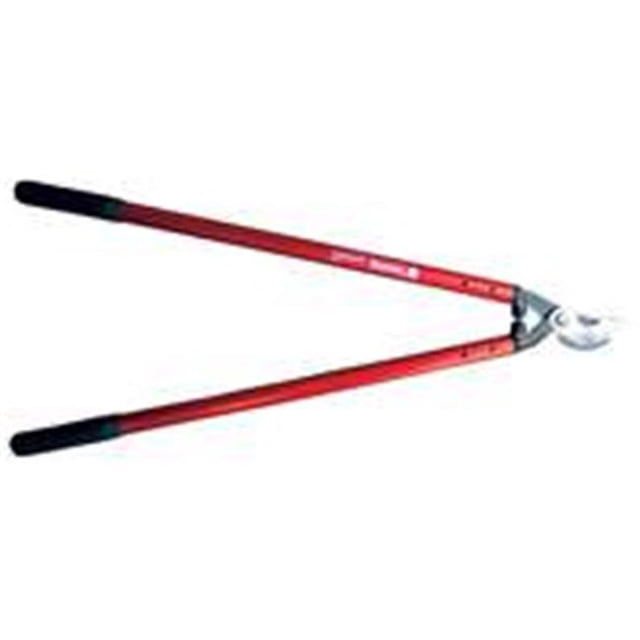 Outils de Ciseaux Professionnels pour Verger 26 Po.