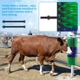 thumbnail image 3 of Livestock Scratching Brush Kit - Dual Color  Grooming Tool for Cows Goats Sheep Pigs with Mounting Screws, 3 of 6