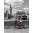 thumbnail image 2 of Bunch of Roses on a bicycle agaisnt Westminster Abby, London, UK Poster Print by Assaf Frank (11 x 14), 2 of 2