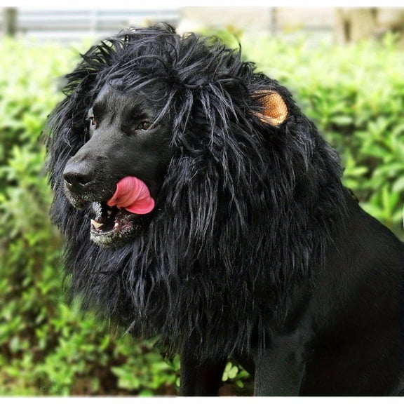 Realistic Lion Mane Dog Costume with Ears & Wig - Black & Brown Fur Pet Outfit for Medium Breeds