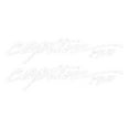 thumbnail image 2 of Rinker Boat Brand Decal VS810402-10-192 | Captiva 192 White (Pair), 2 of 3