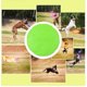 thumbnail image 4 of Juguetes interactivos para perros Discos voladores Juguete para buscar perros Flota en el agua Seguro para los dientes Verde 22cm, 4 of 9