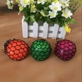 thumbnail image 5 of ColorProfit Funny Relieve Stress Toys, Grape Ball Autism Mood Squeeze Relief Healthy Toys, Funny Geek Gadget for Jokes, 5 of 7