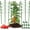 3 Pack, variant on 6 Packs 18inch Plant Support Cages with 3 Adjustable Support Rings- Small Tomato Cage for Pots Plant Holder for Home Garden Balcony for Orchids, Tomato, Vegetables, Flowers, Climbing Plants