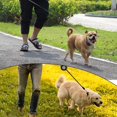 thumbnail image 5 of Telescopic Small Dog Leash, Extendable Pull Rope for Pets Under 23kg, 3m Length, Black, 5 of 5