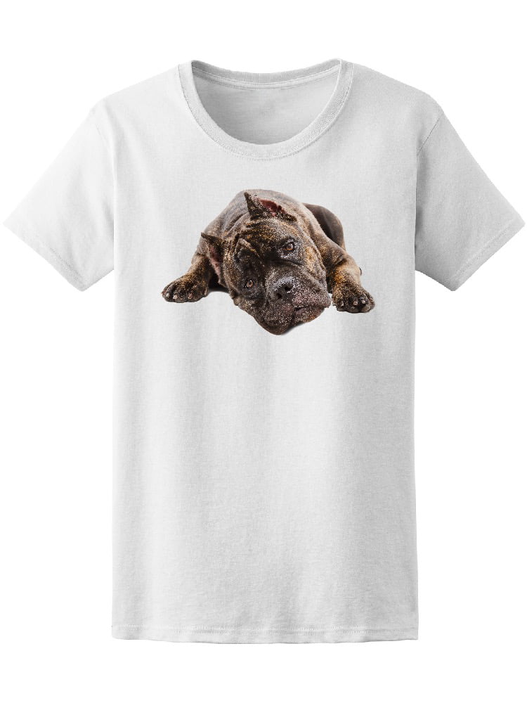 YOUTH Boykin Spaniel Rolling Stone Hunting Dog Short Sleeve T Shirt 