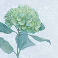 thumbnail image 3 of Grove, Beth 20x20 Black Modern Framed Museum Art Print Titled - Blue Hydrangea I, 3 of 5