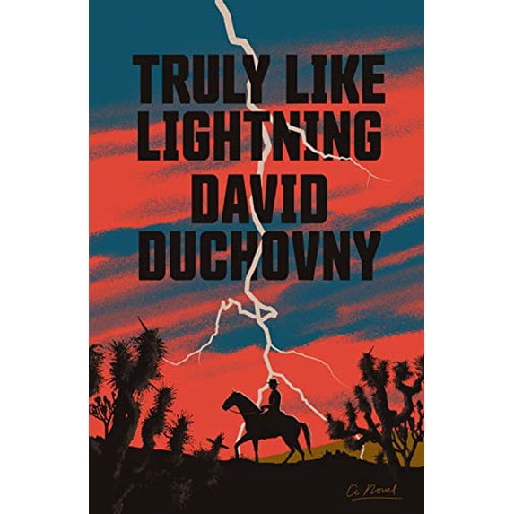 Pre-Owned Truly Like Lightning: A Novel, 9780374277741, 0374277745, Hardcover, First Edition edition