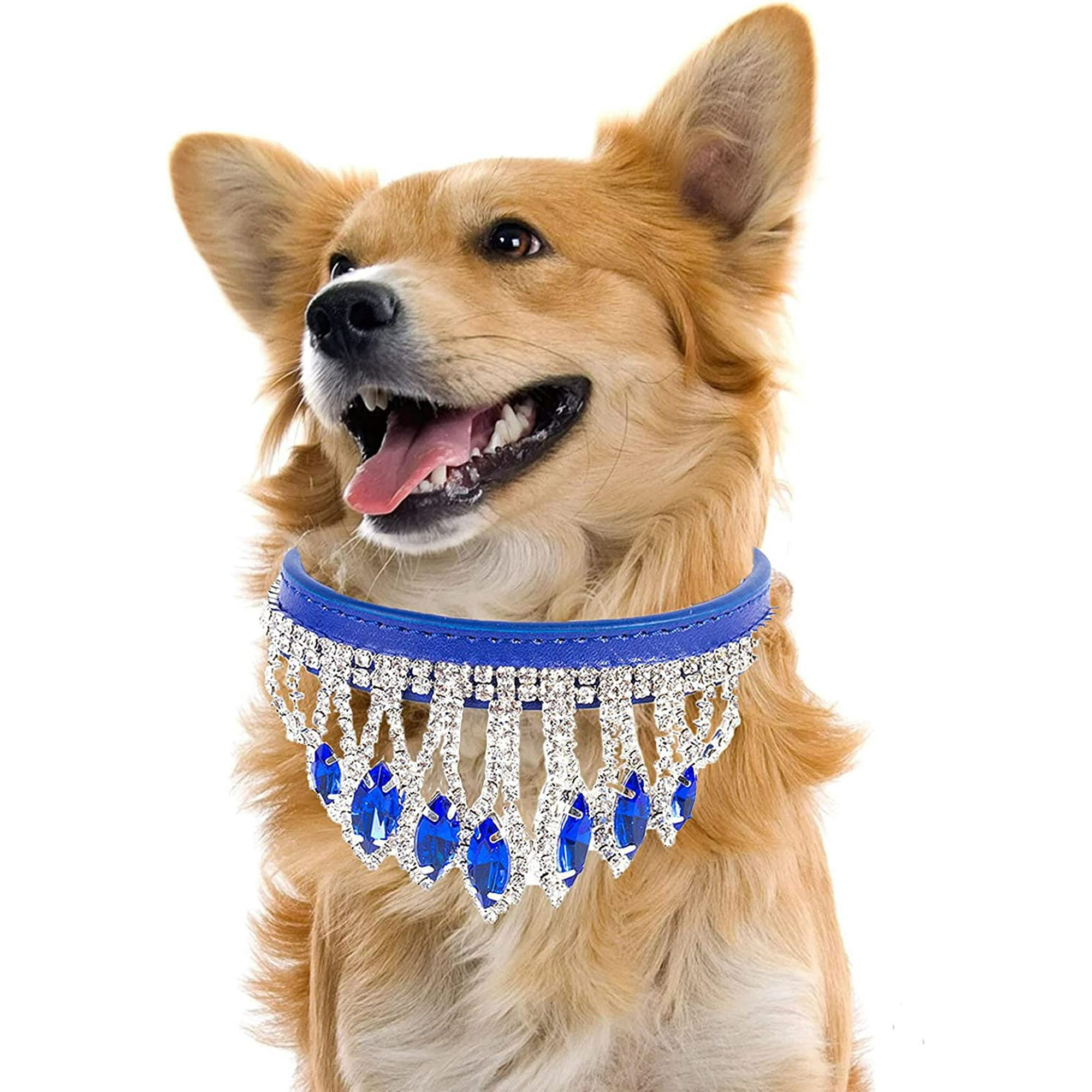 Bling collars best sale