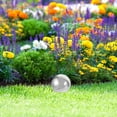 thumbnail image 4 of FOMIYES 6 Pcs Boule de Vision Extérieure en Acier Inoxydable Creuse pour Décoration de Jardin Piscine, 4 of 8