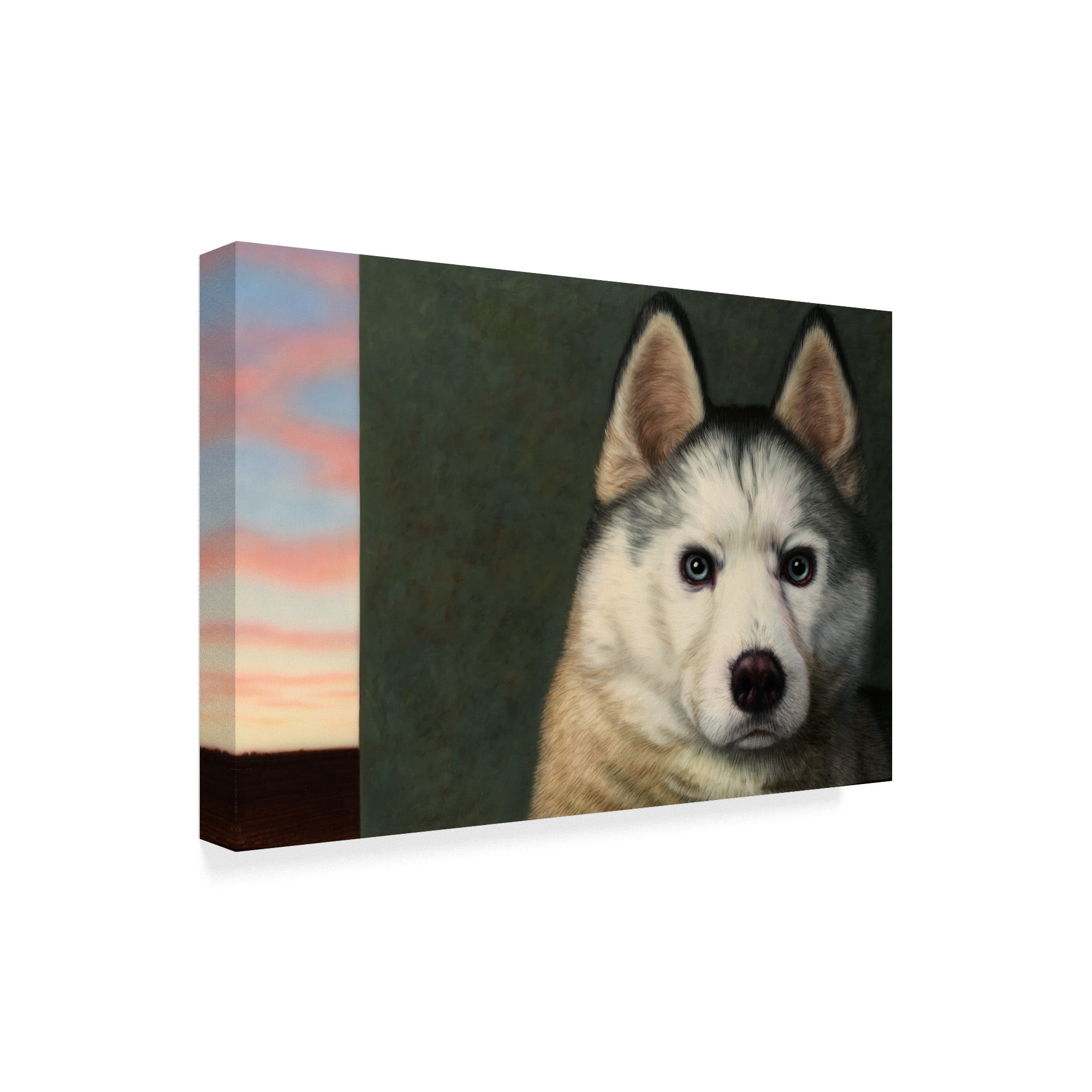 Trademark Fine Art 'Dog Nature' Canvas Art by James W. Johnson