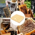 Queen Rearing Kit for Beekeepers - Complete Starter Set with Bee ...
