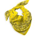 thumbnail image 1 of Gift Packaging Bandana for Men Women - 100% Cotton, Paisley, 22x22 In, 1 Pack - Large Bandanna Handkerchief Cowboy Hanky, 1 of 6