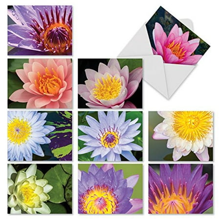 'M2070 LILY POND' 10 Assorted Thank You Note Cards Are Graced with Images of Water Lilies with Envelopes by The Best Card