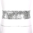 thumbnail image 6 of vastwit Sparkle Sequin Waist Belt Widen Elastic Girdle Belt Glitter Stretch Dress Belt for Women Silver One Size, 6 of 7