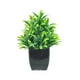 thumbnail image 3 of Planta en maceta verde artificial | Ramo de plástico realista 7.87in | Decoración interior del hogar TV Cabinet Table Arrangements | Base ponderada sin mantenimiento | Boda, Oficina, Exhibición, 3 of 6