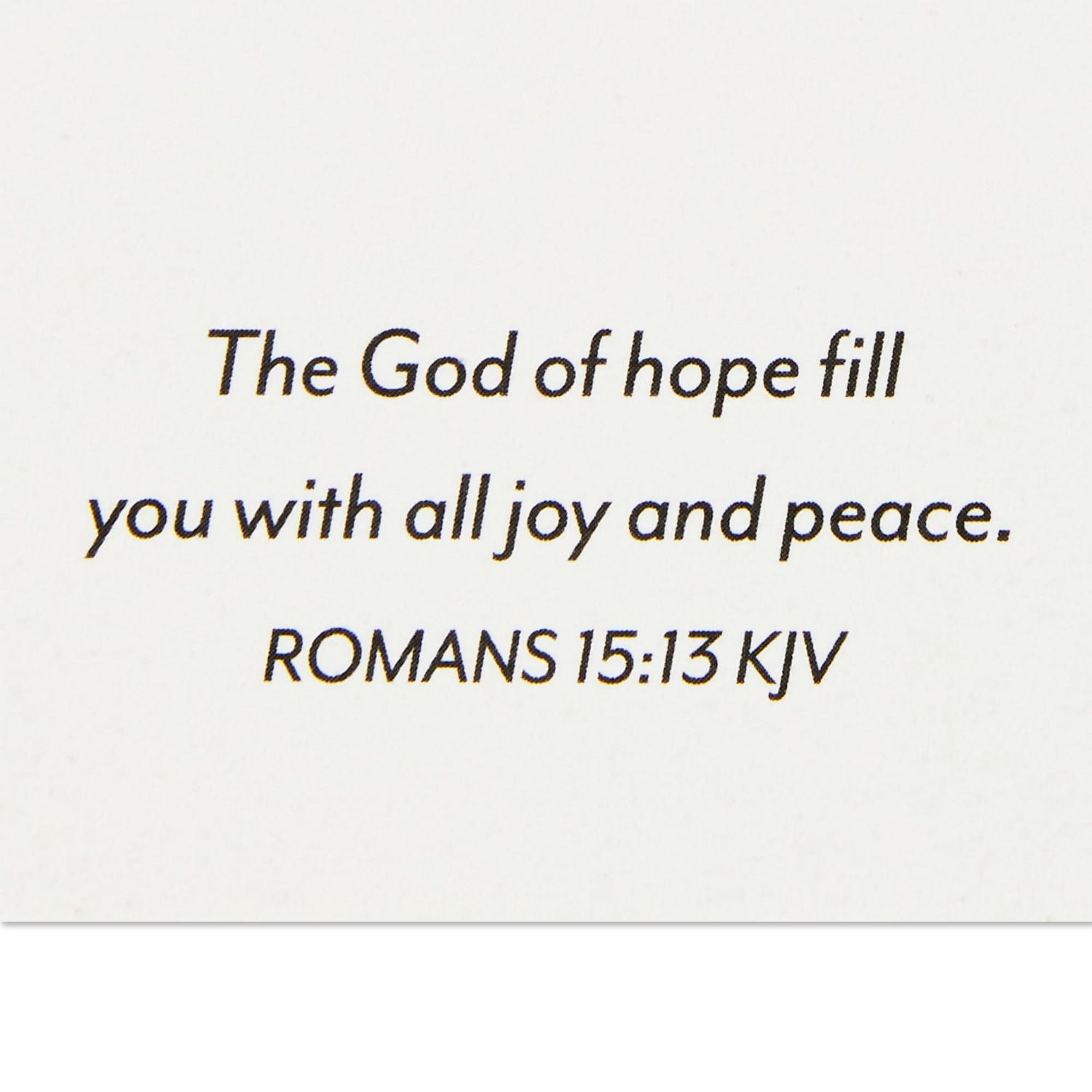 DaySpring Religious Boxed Christmas Cards (Peace & Joy Snowy Forest Scene), 18 ct.