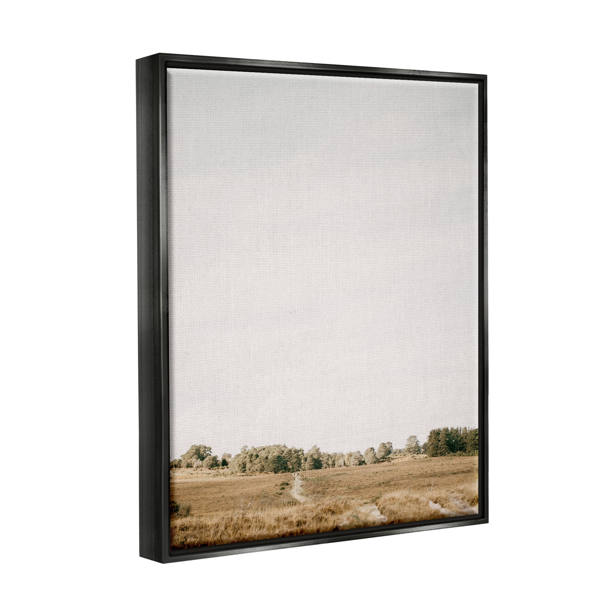 Stupell Industries Country Sky Photography Landscape Photography Black Floater Framed Canvas Art Print Wall Art, 25 x 31