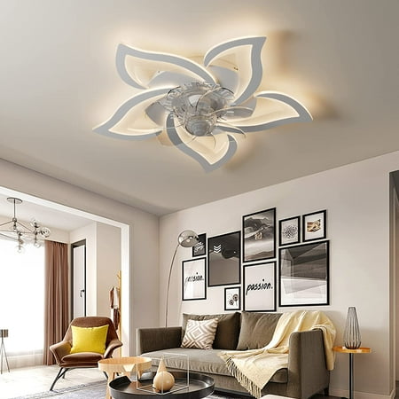 

DeveChos Ceiling Fans with Lights\u2026