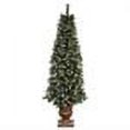thumbnail image 2 of Potted Sweden Pine Pre-lit Tabletop Christmas Tree, 2 of 2
