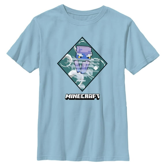 Boys Minecraft Breeze Classic Logo T Shirt