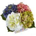 thumbnail image 2 of Nearly Natural 1448-AS Hydrangea in New Baby Ceramic, Assorted, 2 of 2