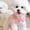 Pink, variant on Summer Clothes for Dogs Puppy Shirt Blouse Spring Pets Clothing Dog Doggy Pet Shirts Apparel Supplies