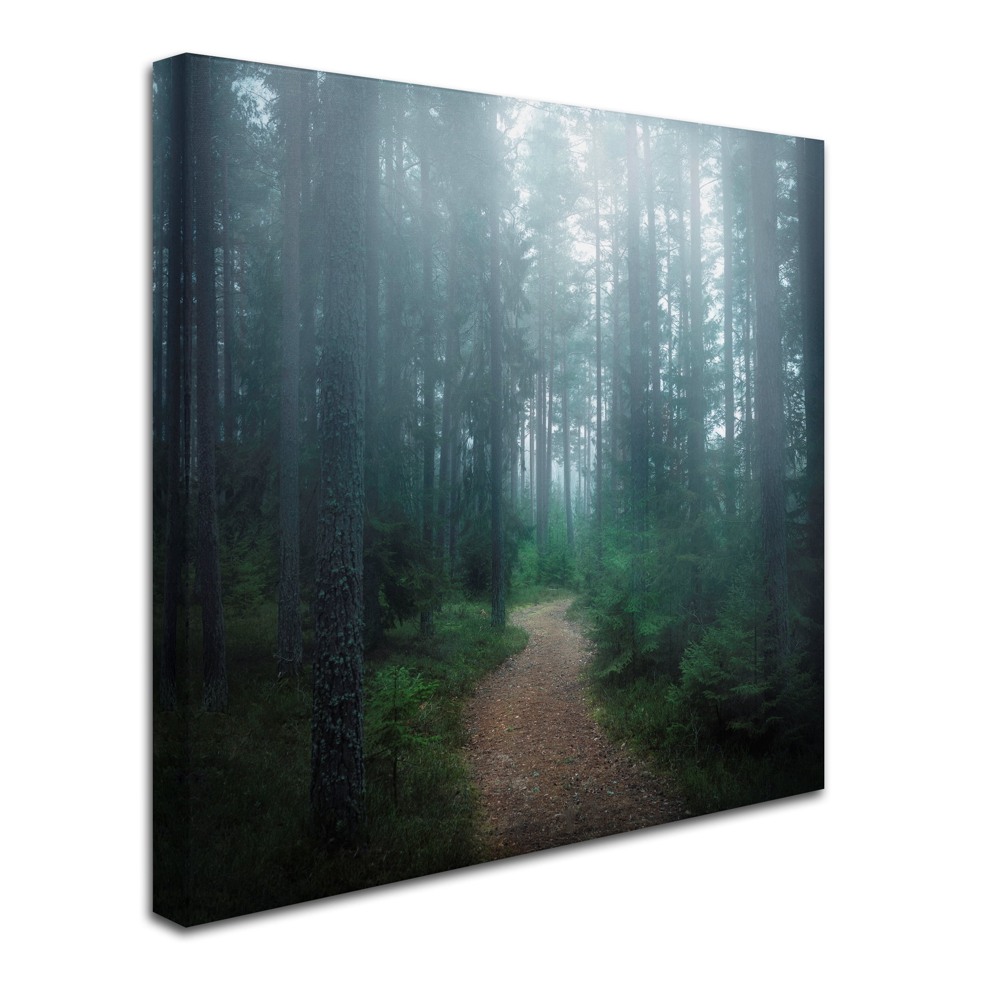 Trademark Fine Art 'The Forest Of Secrets' Canvas Art by Christian Lindsten