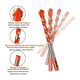 thumbnail image 4 of Kit 10 Piezas Multifuncional Brocas Bloosom  Azulejo Pared Concreto Plata, 4 of 4