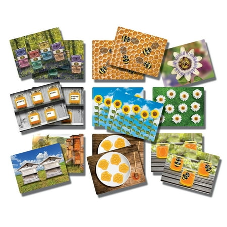UPC: 5060213761438 | Yellow Door Honey Bee Early Number Cards Set of 16