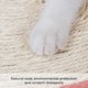 thumbnail image 5 of Almohadilla De Sisal Con Forma De Murciélago, Tabla Para Rascar, Almohadilla Para Rascar De Sisal Resistente, Tabla Para Rascar De Gato De Navidad Duradera Con Cuerda De Sisal, Tela De Fieltro matsuzay PT000774-00, 5 of 6