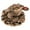 Bronze, variant on Handcrafted Frog Figurine Three Legged Feng Shui Wealth Toad Resin Desk Decor for Creative Home Store