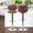 Rosewood, variant on Magshion Adjustable Bar Stools, Modern Swivel Barstools with Back, Armless Counter Height Chairs for Kitchen Dining Pub Cafe Set of 2 Coffee