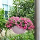 thumbnail image 5 of Cesta colgante de maceta de ratán - tamaño pequeño de 7 pulgadas con diseño de barrera de agua, previene la podredumbre de raíces en suculentas y plantas de interior - azul claro, rosa, verde menta, 5 of 6