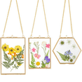 thumbnail image 4 of 6 Packs Pressed Flowers Glass Frames- Golden Hanging Glass Picture Frames with Chain Floating DIY Artwork Display Frames, 4 of 7
