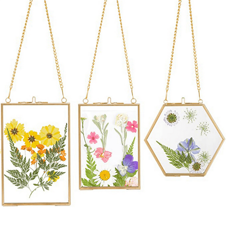 Pressed Flower Glass Frames – Set Of 5 Gold Floating Photo Frames With Chain For Wall Display