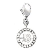 Clear Crystal Jewelry 18 Charm Rhodium #1109728