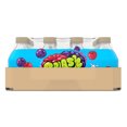 Splash Blast, Wild Berry Flavor Water Beverage, 8 Fl Oz Plastic Bottles